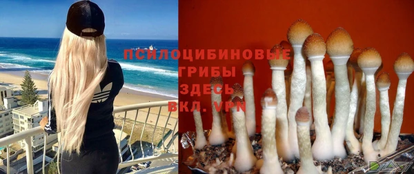 ПСИЛОЦИБИНОВЫЕ ГРИБЫ Аркадак