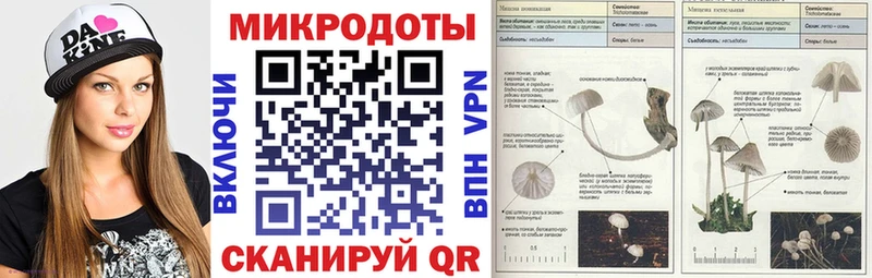 Галлюциногенные грибы прущие грибы  Саратов 